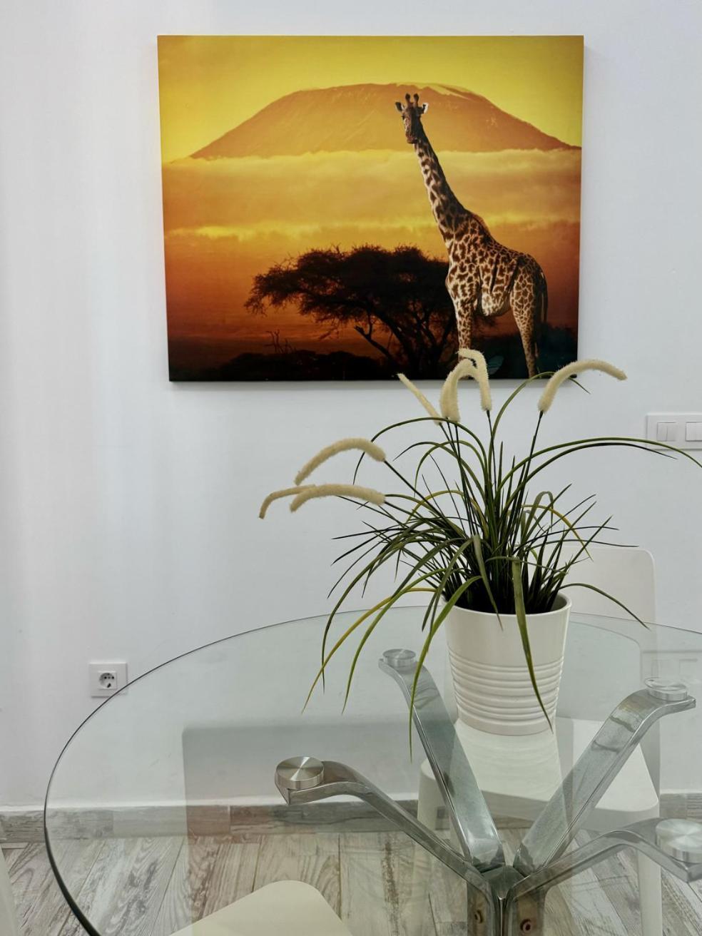 San Eugenio Charming Renovated Apartment Tenerife Costa Adeje  Bagian luar foto