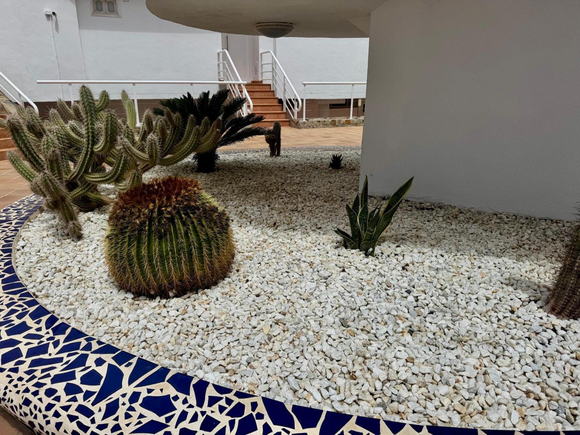 San Eugenio Charming Renovated Apartment Tenerife Costa Adeje  Bagian luar foto